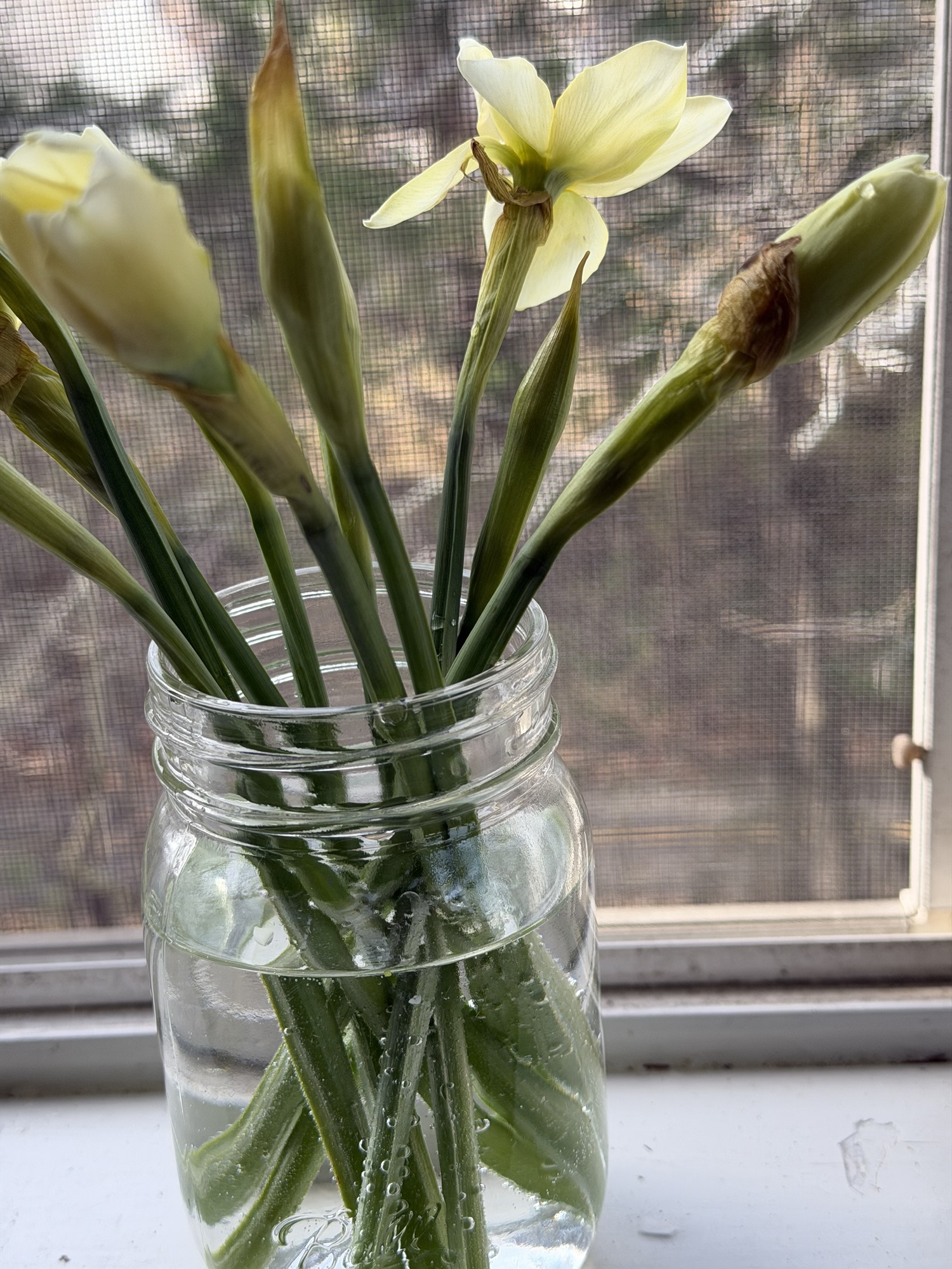 The First Signs of Spring