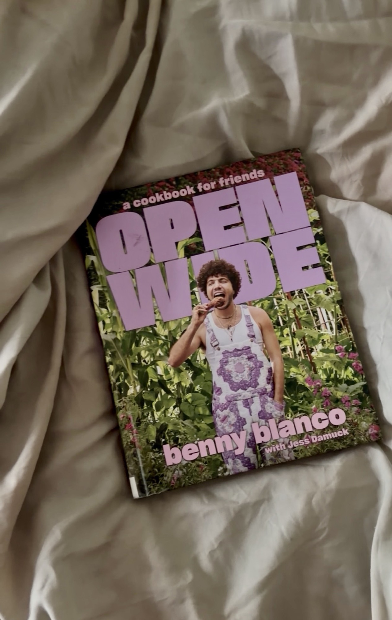 Cookbook Review: Open Wide A Cookbook for Friends