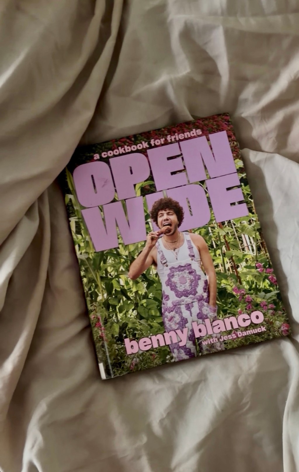 Cookbook Review: Open Wide A Cookbook for&nbsp;Friends